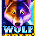 Wolf Gold